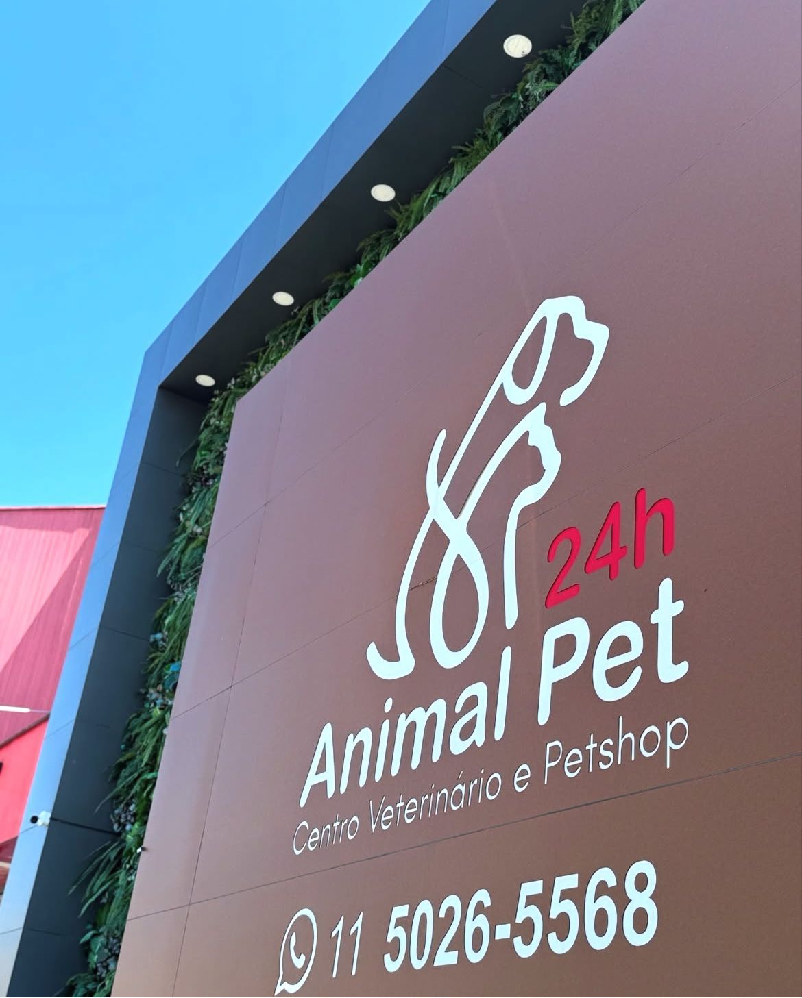 Post @animalpetsp 3